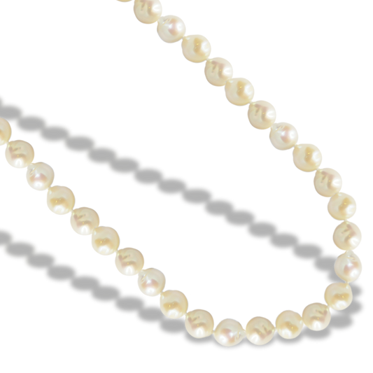 49cm Natural Freshwater Light Pearl Necklace with 9ct Yellow Gold Shell Clasp