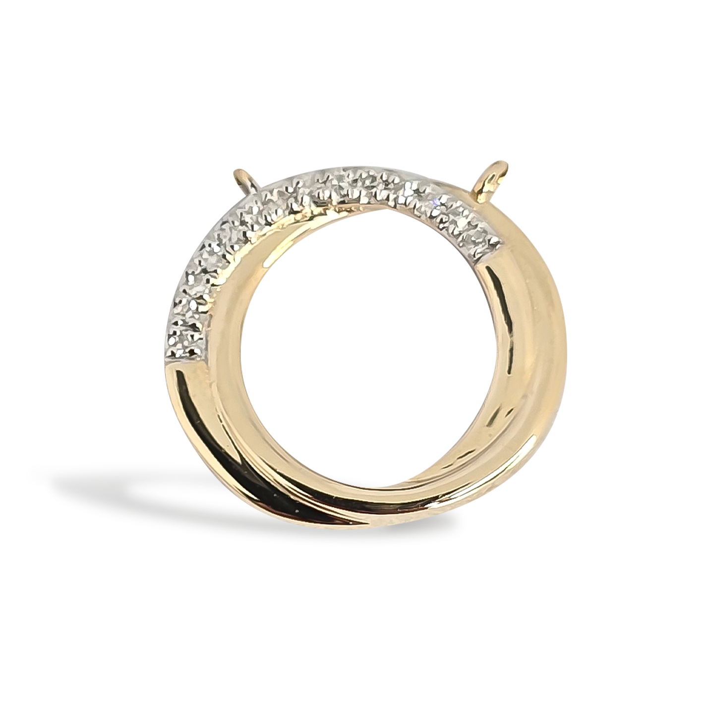 0.02ct Diamond Circle of Life in 9ct YellowGold on Chain