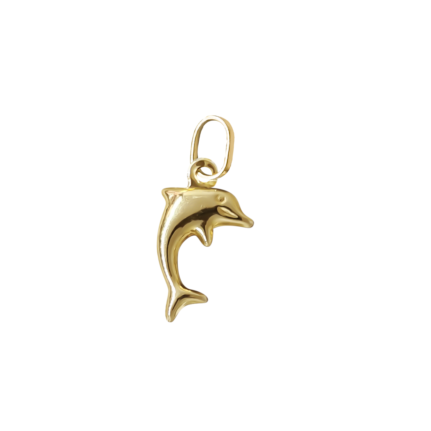 10mm Dolphin Charm 9ct Yellow Gold