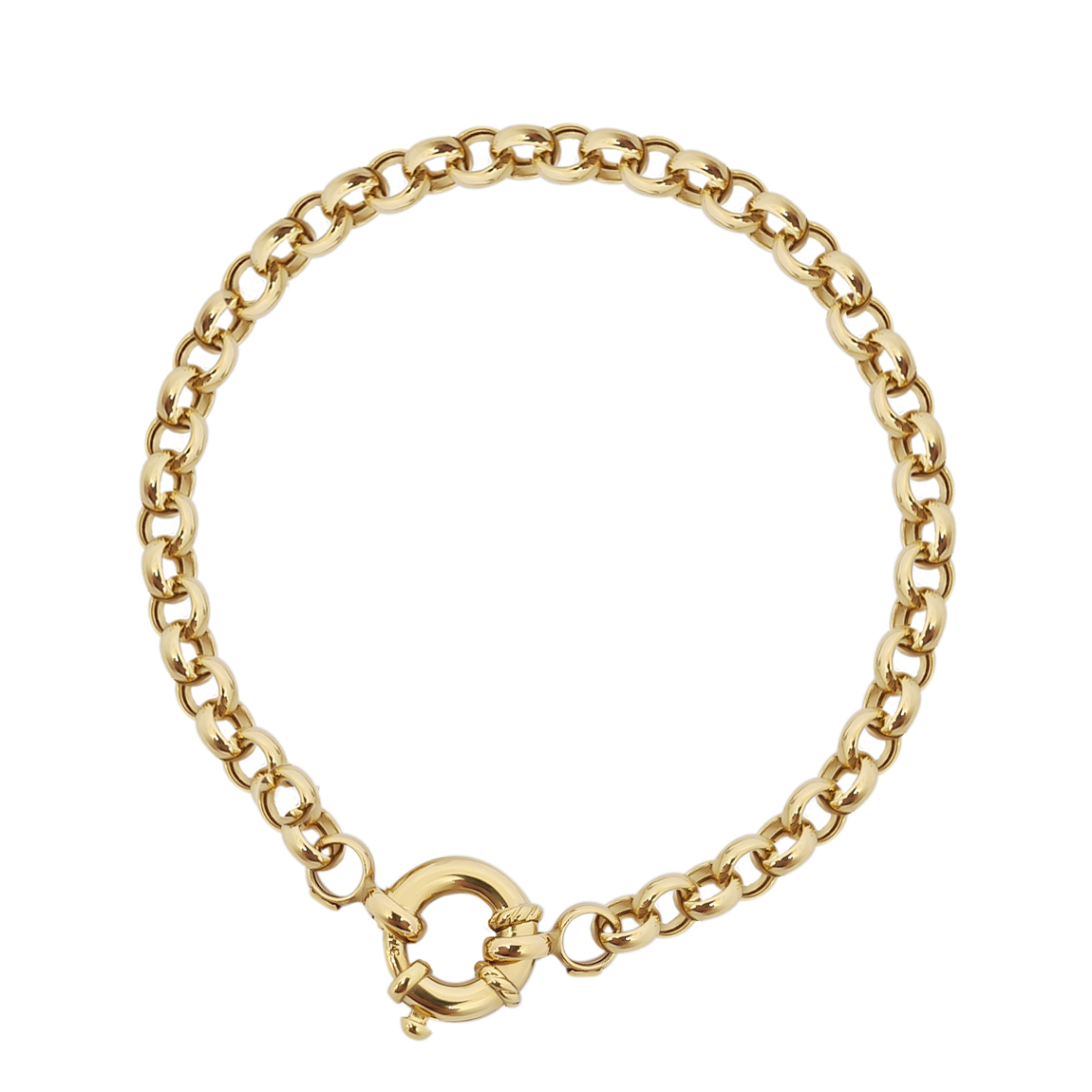 19cm Belcher Link Bracelet in 9ct Yellow Gold